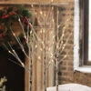 2 Foot Electric Birch Grove On Base - 28 Inch 56 Warm White LED Lights