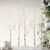 RAZ Lighted Birch Grove 30 Inch - 88 Warm White LED'S Steady And Twinkle Functions 1 RAZ Lighted Birch Grove 30 Inch - 88 Warm White LED'S Steady And Twinkle Functions -Decorative Candle Shop 3800927 lifestyle