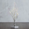 Battery Operated White Birch Tree 1.5 Feet - 16 Warm White LED'S Timer -Decorative Candle Shop 3800946 birch tree