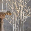 4 Foot Lighted Birch Grove - 175 Lights With Rounded Base