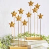 Gold Star Grove - 12 Inch Set Of 2 -Decorative Candle Shop 4111156 books