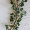 Electric Lighted Eucalyptus Garland 48 Warm White LED's - 6 Feet 1 Electric Lighted Eucalyptus Garland 48 Warm White LED's - 6 Feet -Decorative Candle Shop Eucalyptus Leaf Willow Garl