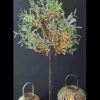 6 Foot Lighted Olive Tree - 120 Warm White LED'S From The Light Garden