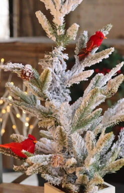 24 Inch Flocked Tree With Cardinals In Decorative Box - NEW 2022 -Decorative Candle Shop cardinal floced treee