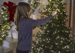 Christmas Cluster Lights With 300 Warm White LED 10 Foot - Green Wire - Remote Control RAZ Imports -Decorative Candle Shop decorating with cluster lights