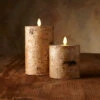 Luminara Embedded With Birch 4 X 7 Inch Flameless Pillar -Decorative Candle Shop embedded with birch 1