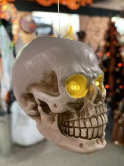 Lighted Hanging Skulls Set Of Six With Remote Control Indoor-Outdoor -Decorative Candle Shop floating skulls 1