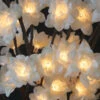 Pre Lit White Nouveau Plum Branch 96 LED's 3 Stems 3 Feet-Electric -Decorative Candle Shop new white plum 600