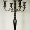 Candelabra Glass Globes - Set Of 5 -Decorative Candle Shop nickle with glass shades