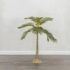 4 Foot Electric Lighted Palm Tree - 55 Warm White Micro Lights With Outdoor Adaptor -Decorative Candle Shop palm 4 foot