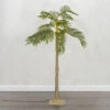 5 Foot Electric Lighted Palm Tree - 89 Warm White Micro Lights With Outdoor Adaptor -Decorative Candle Shop palm 5 foot