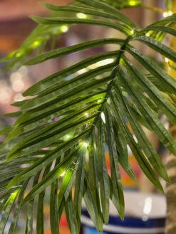 4 Foot Electric Lighted Palm Tree - 55 Warm White Micro Lights With Outdoor Adaptor -Decorative Candle Shop palm detail 1