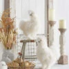 White Silky Chicken Set Of 2 Assorted - 13 Inch - NEW 2023
