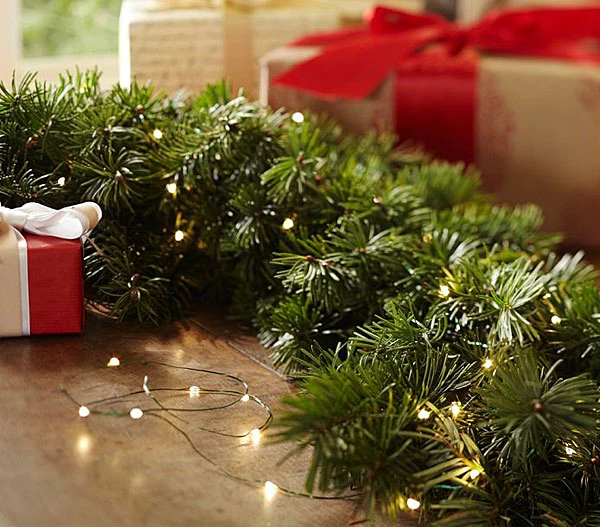 60 Warm White LED String Lights Battery Operated - 20 Feet With Timer 4 60 Warm White LED String Lights Battery Operated - 20 Feet With Timer - Image 2